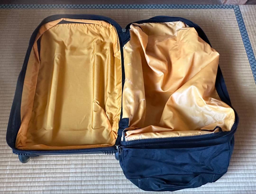 ま*ろ様 希少品 Patagonia キャリーバッグ