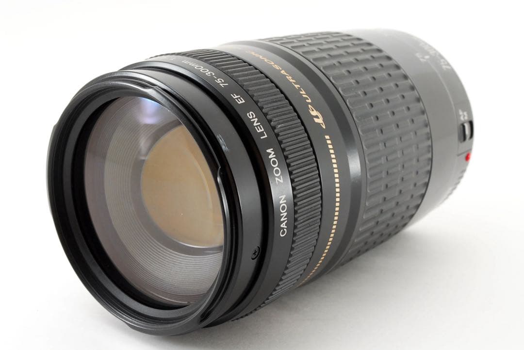 デジタル一眼レフカメラ☆人気の望遠レンズ☆Canon EF75-300㎜