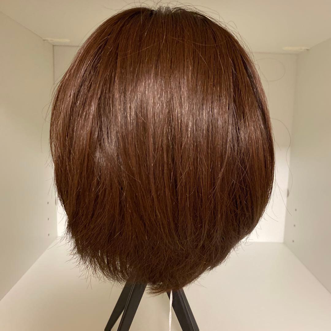 医療用ウィッグ/アクアドール人毛mix [pwm015]