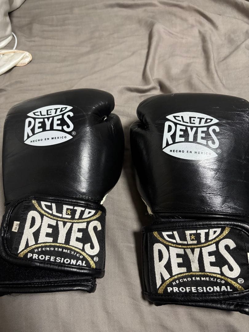 レイジェス ボクシンググローブ 10oz RAYES