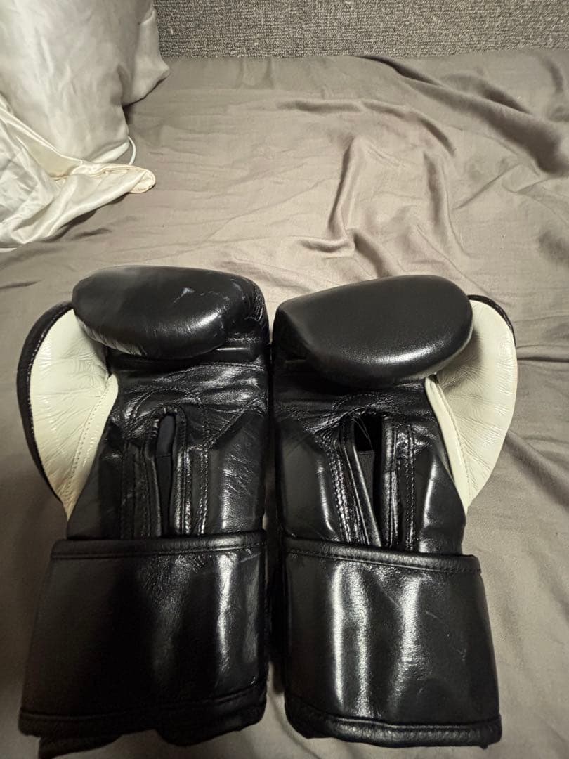 レイジェス ボクシンググローブ 10oz RAYES