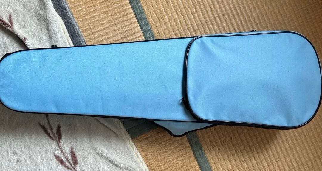 木製バイオリン 4/4 カルロジョルダーノVS-F 1CB