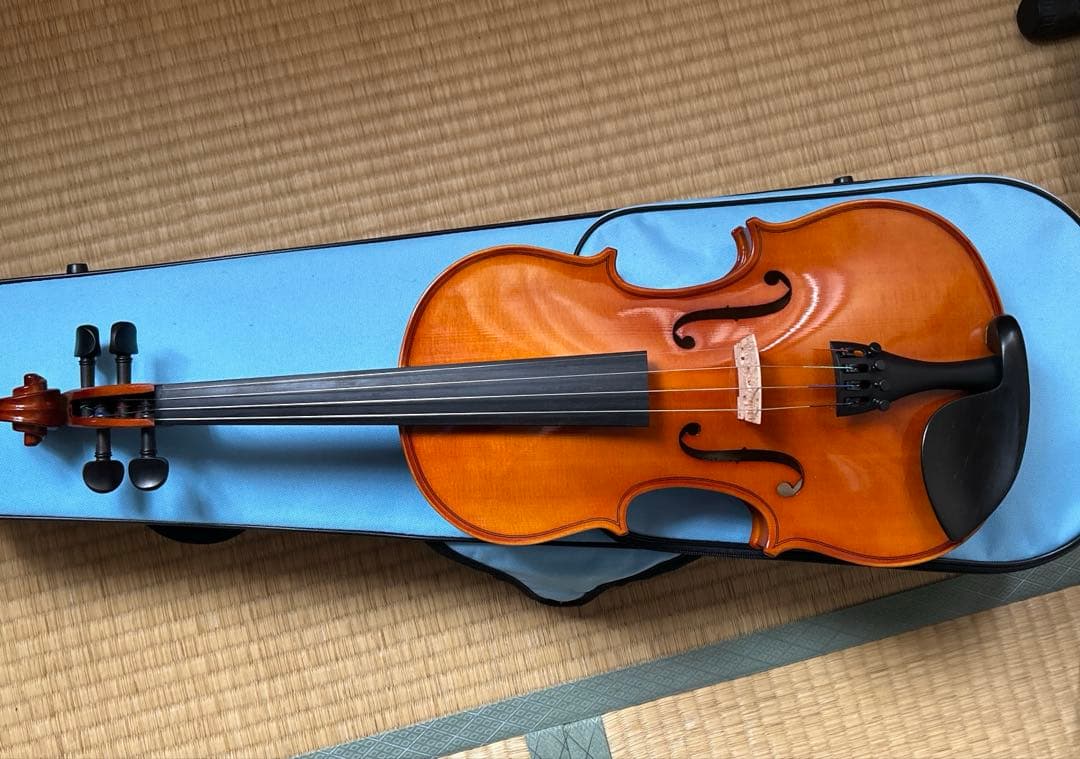 木製バイオリン 4/4 カルロジョルダーノVS-F 1CB