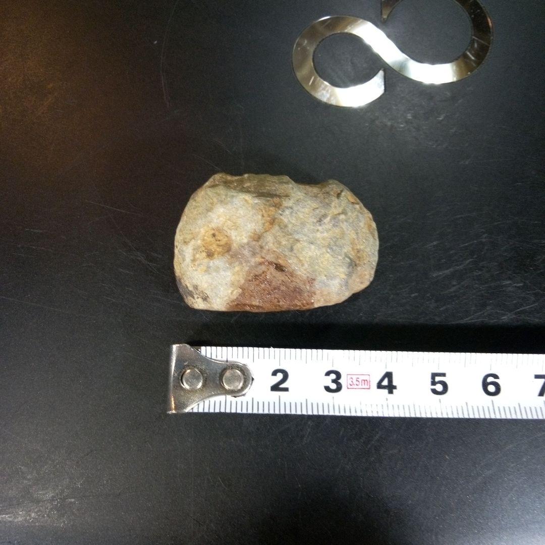 三葉虫　化石　fossil　ボリビア産　trilobite　ノジュール判別⑨