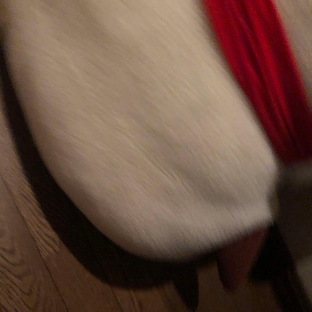 正宗ぬいぐるみ 天月 【断捨離】