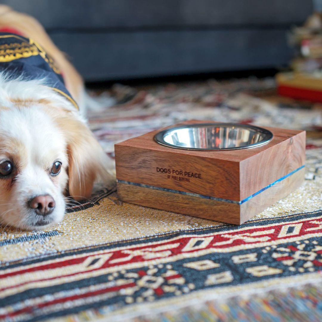新品 ドッグボウル 犬用 食器 餌 水 テーブル インテリア 小物 雑貨