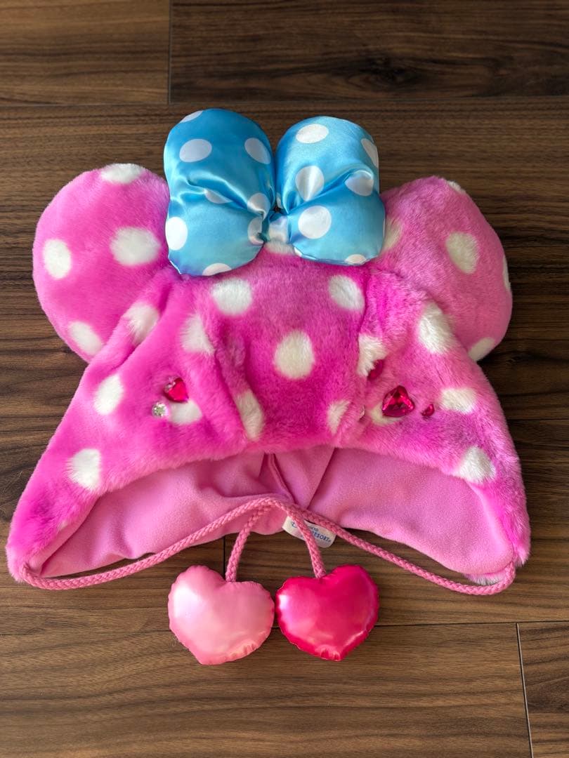 BANI　ディズニー　パルパルーザ　ミニーファンダーランド　セット