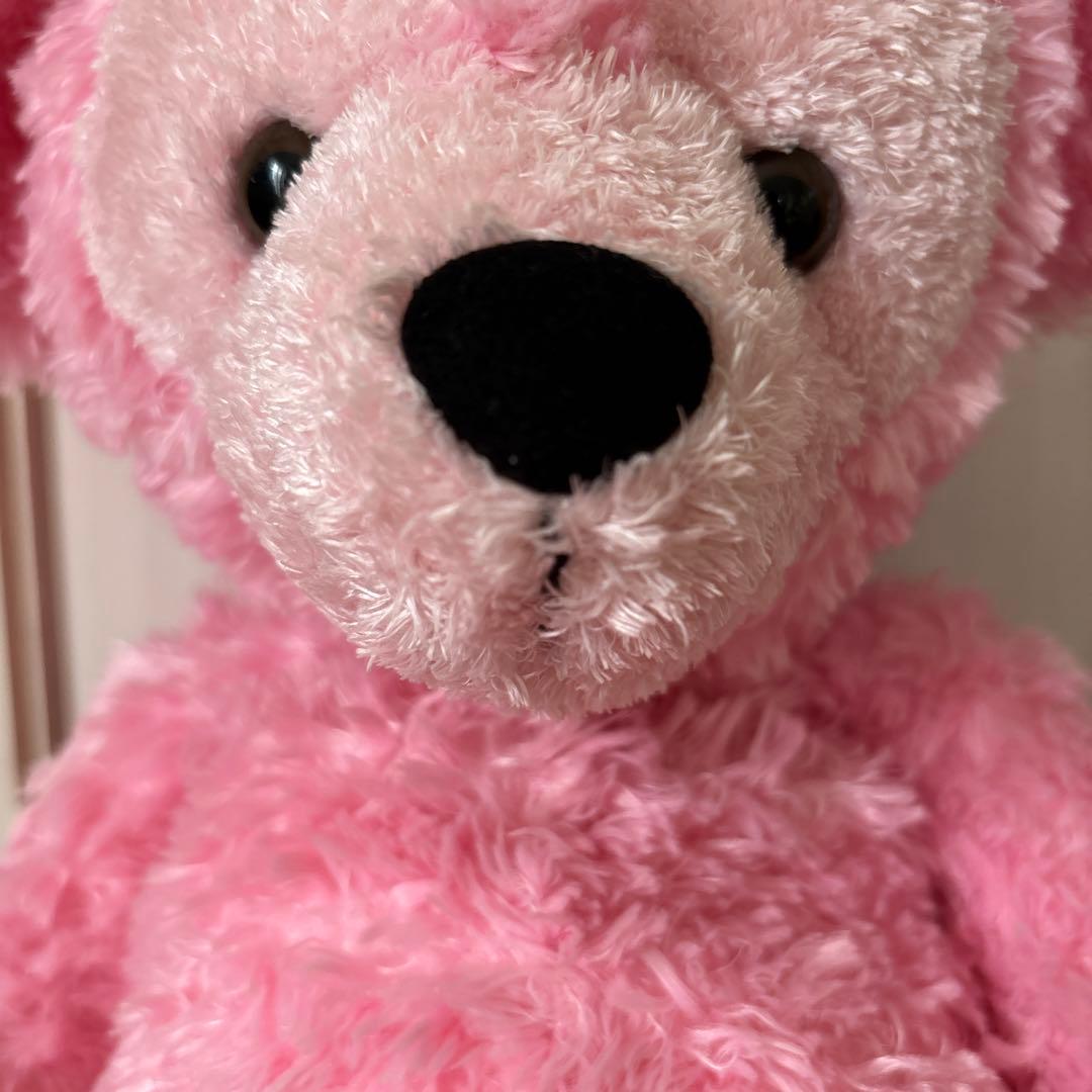 ダッフィー　WDW ぬいぐるみ　ピンク　ぽぽちゃん