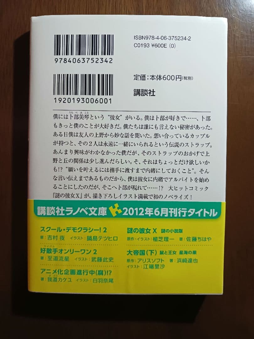 謎の彼女X 謎の小説版