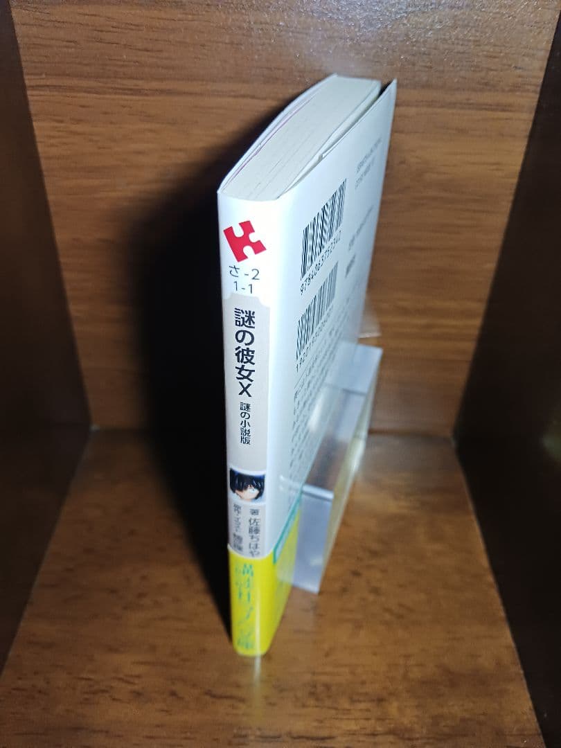 謎の彼女X 謎の小説版
