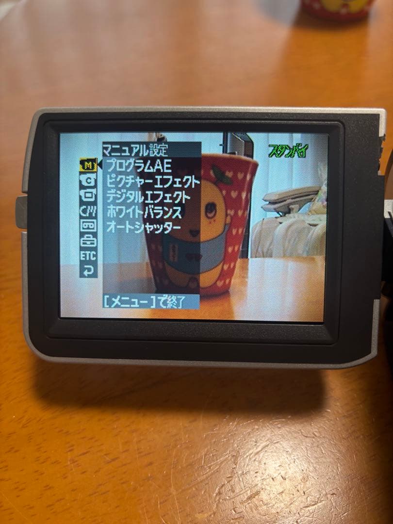 Sony DCR-TRV17 MiniDVビデオカメラ