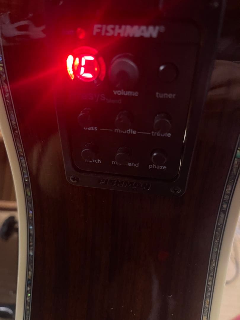 豪華装飾インレイ　アコースティックギター