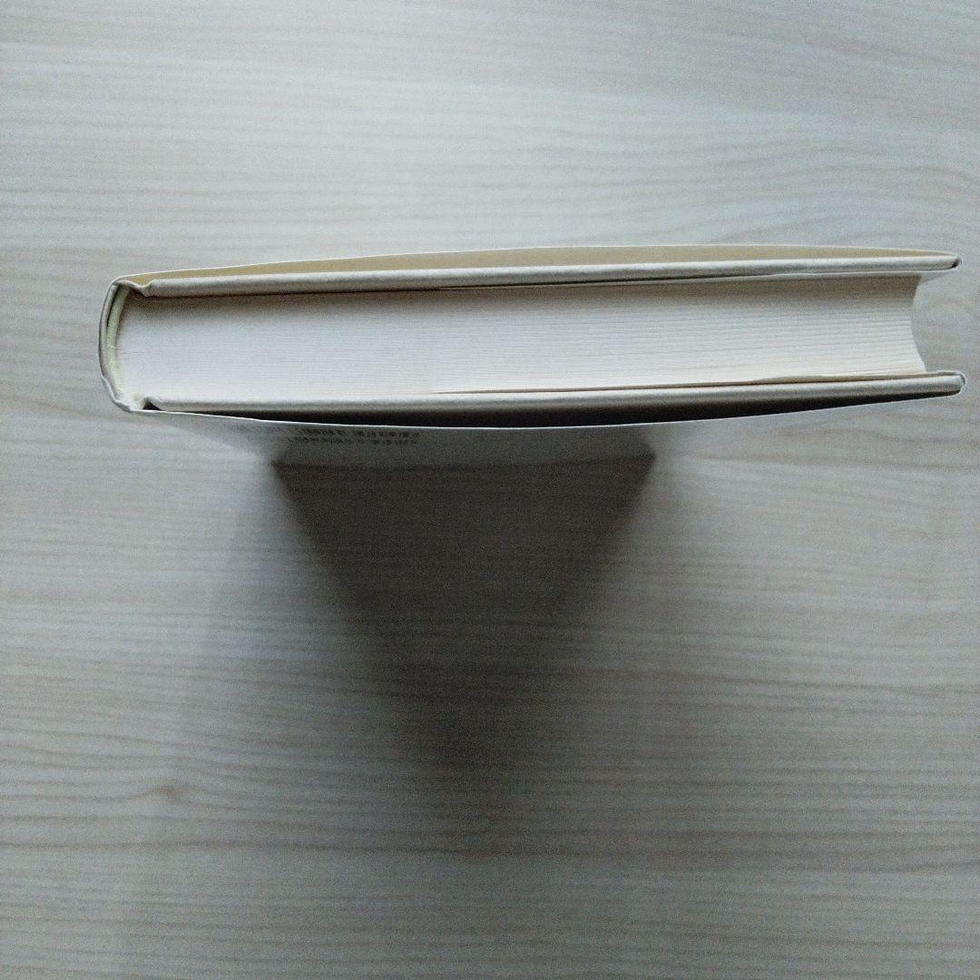 ショーペンハウアー哲学の再構築