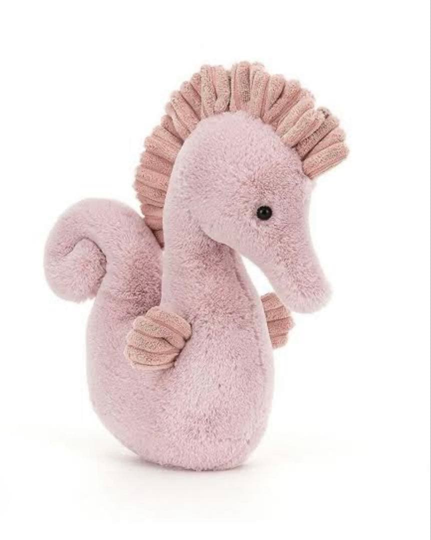  Sienna Seahorse タツノオトシゴ　Mサイズ