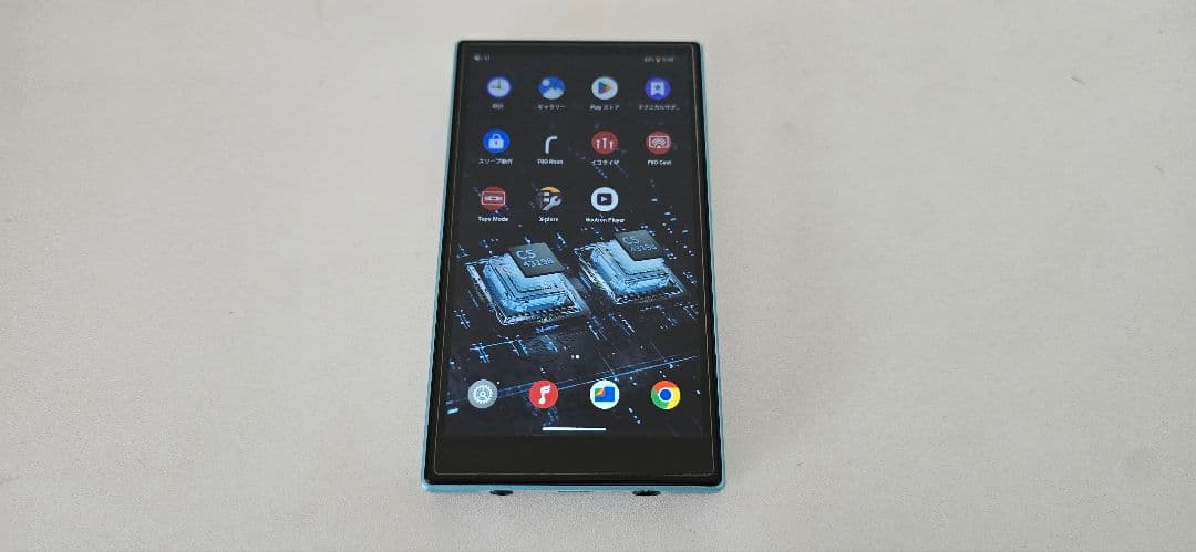 [美品・使用期間少なめ] FiiO JM21 ケース付き