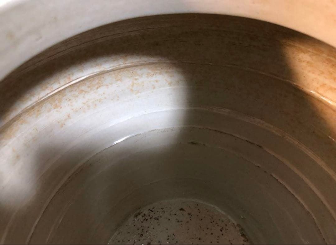 中国骨董　元白磁　辰砂　鳳凰紋　玉璧足　壺