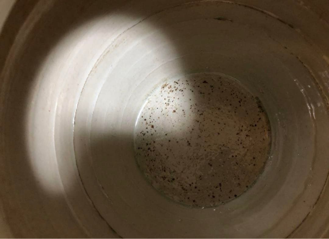 中国骨董　元白磁　辰砂　鳳凰紋　玉璧足　壺