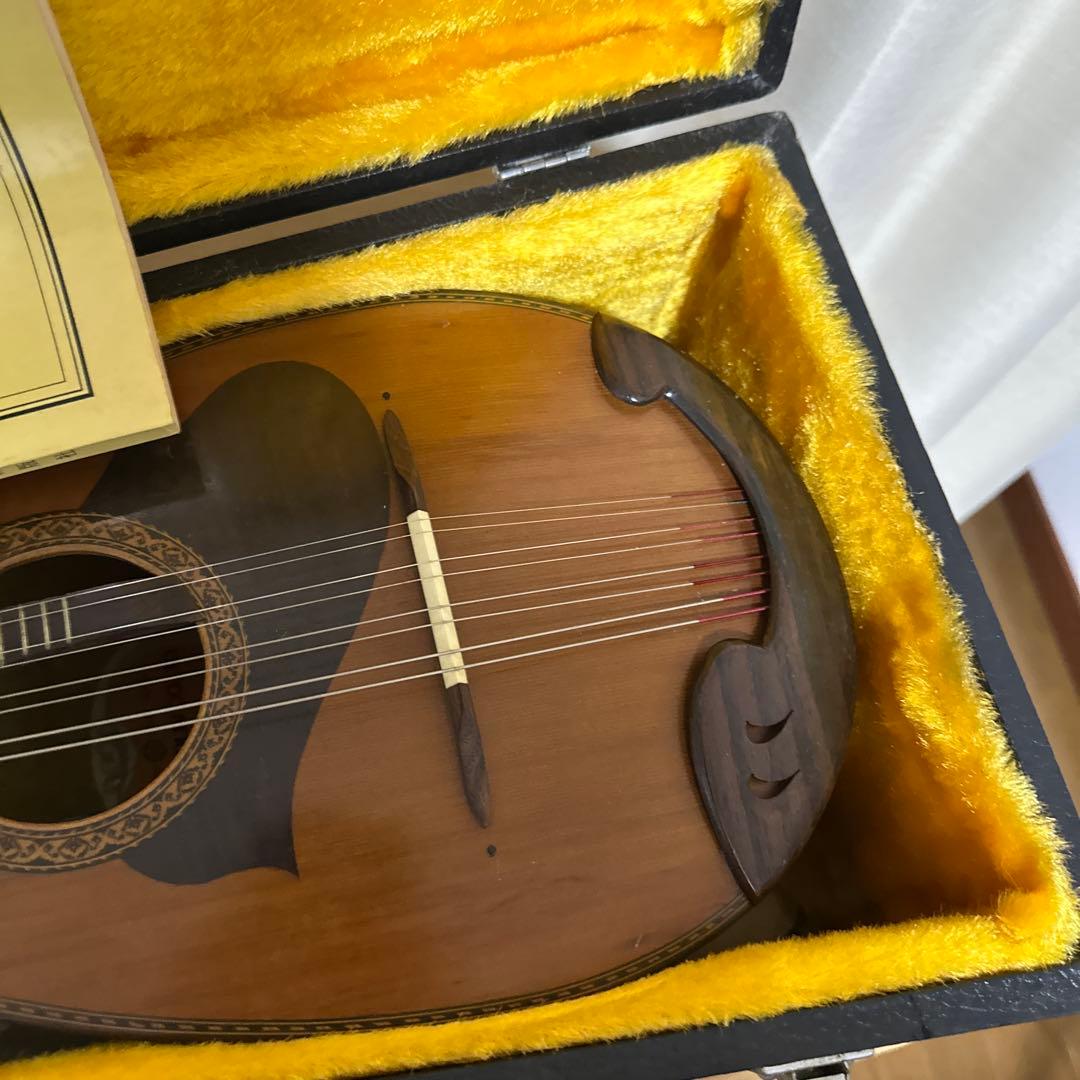 【ハードケース付き】スズキ SUZUKI マンドリM-215