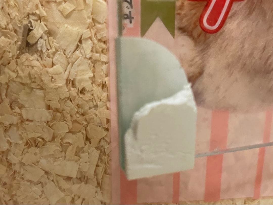 ハムスター飼育セット　グラスハーモニー600 plus