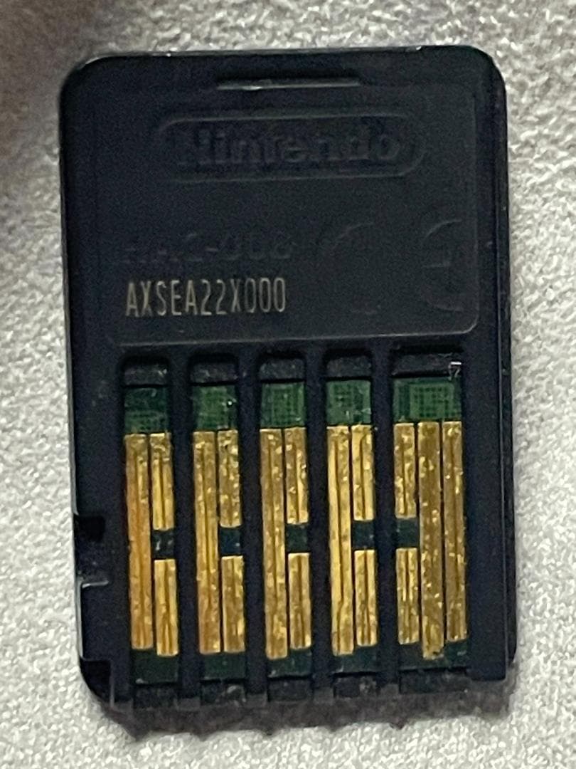 その他 Nintendo Switch NINTENDO SWITCH LITE