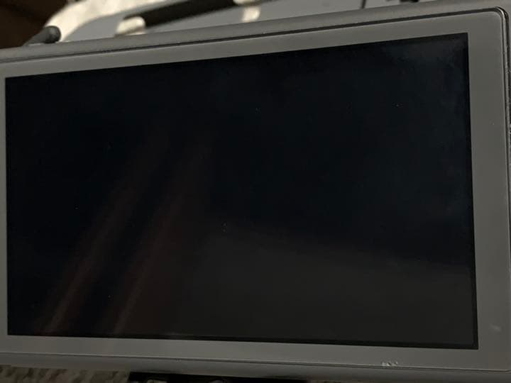 その他 Nintendo Switch NINTENDO SWITCH LITE