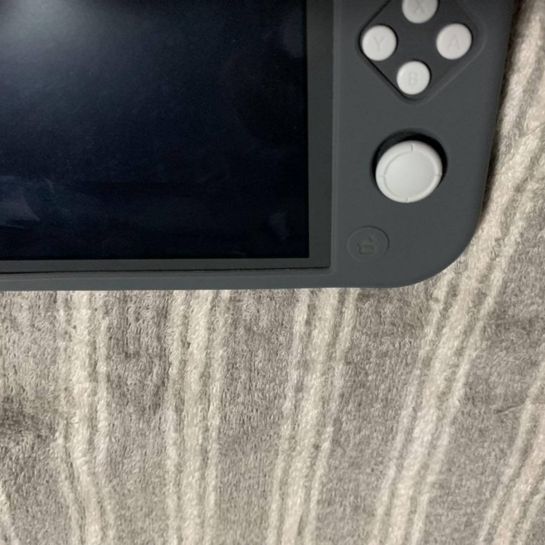 その他 Nintendo Switch NINTENDO SWITCH LITE