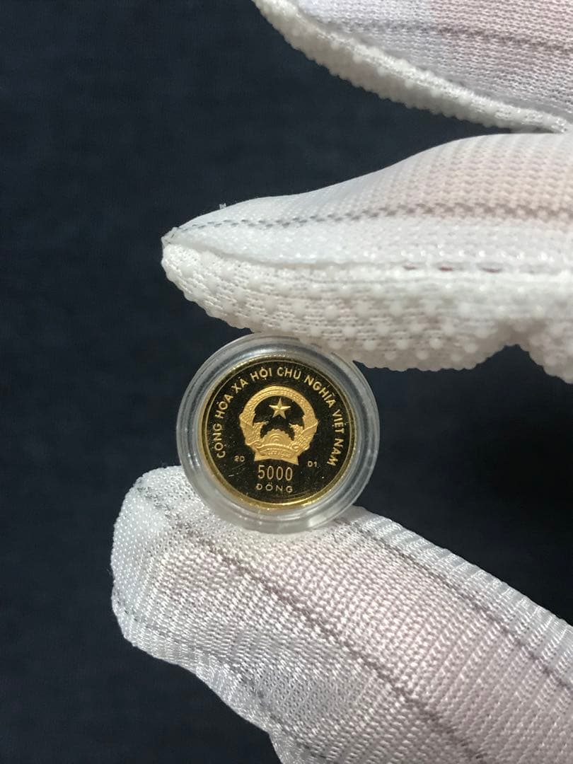 ベトナムドン　ベトナム 「巳年」5000ドン金貨　1/25オンス 純金