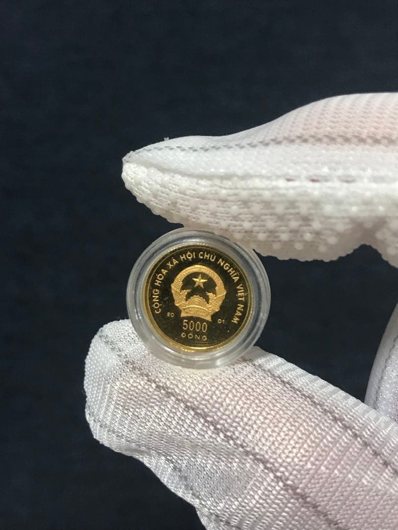 ベトナムドン　ベトナム 「巳年」5000ドン金貨　1/25オンス 純金