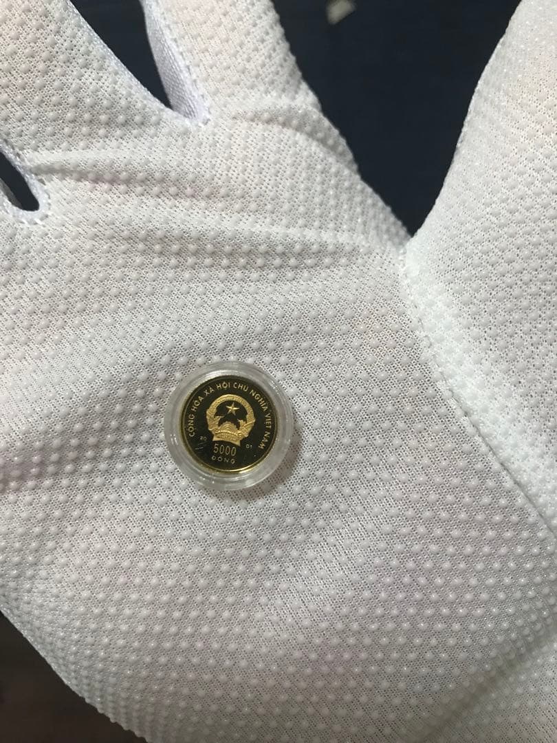 ベトナムドン　ベトナム 「巳年」5000ドン金貨　1/25オンス 純金