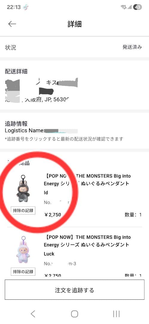 【超激レア未開封ラブブ】 Biginto Energy 特別な人にプレゼント