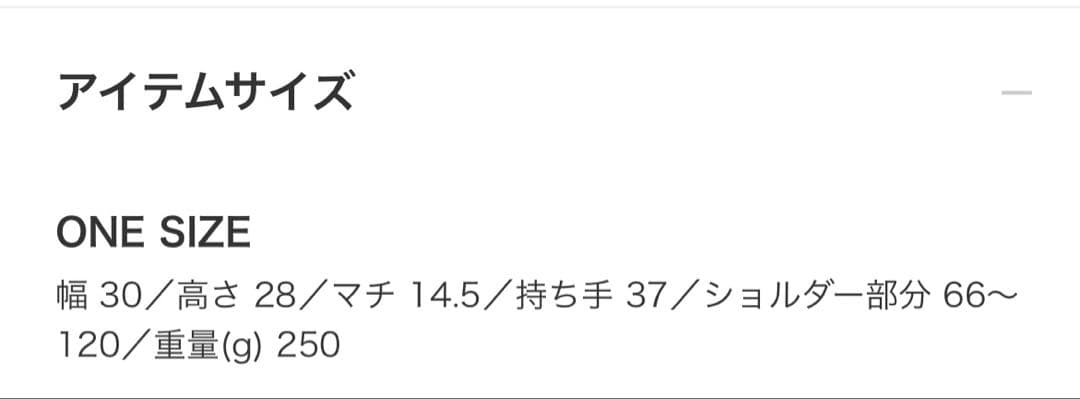 ジョービームスボーイ【別注】BRIEFING ヘルメットバッグ レオパード