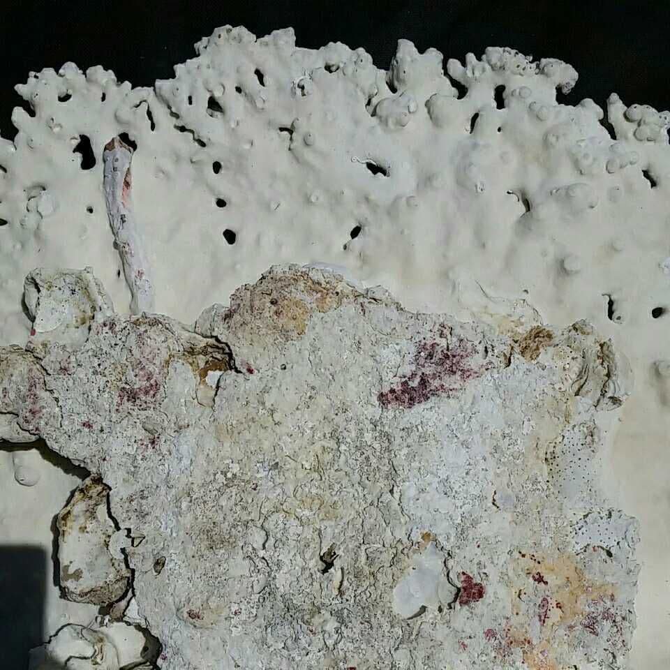 特大 飾り 珊瑚 テーブル サンゴ礁 置物 白 海水魚 水槽 レイアウト