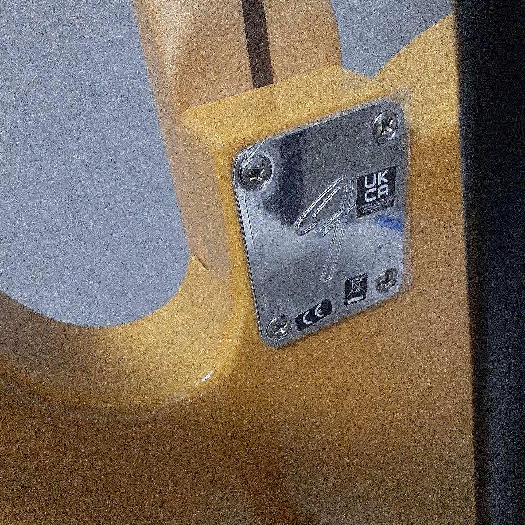 t*t様 Fender Player Series Telecaster