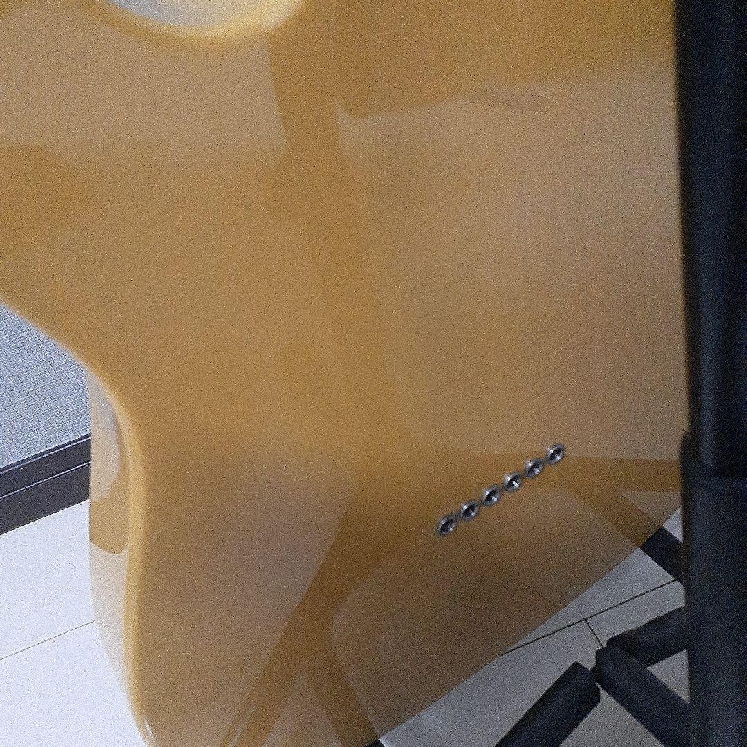 t*t様 Fender Player Series Telecaster