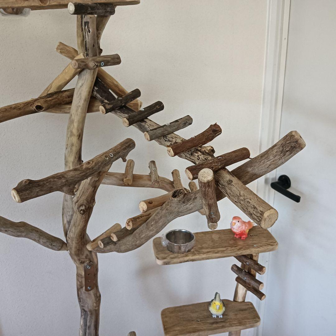 バードアスレチックジム大型 ③ 天然木 自然木 流木 インコ おもちゃ