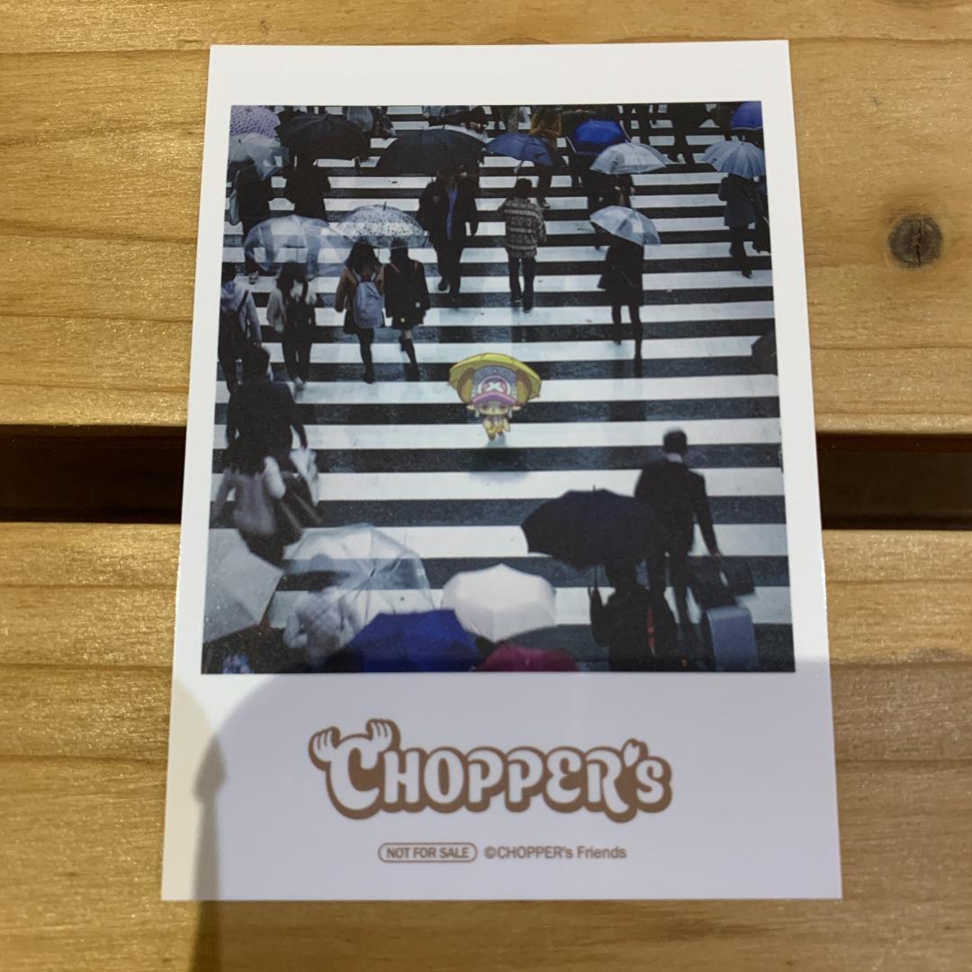 【3種】ONE PIECE BASE SHOP ワーコレ 尾田栄一郎 ルフィズ