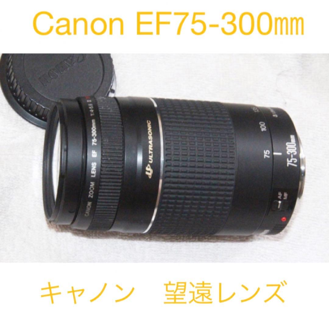 超望遠レンズ/デジタル一眼レフカメラ　Canon EF75-300 mm