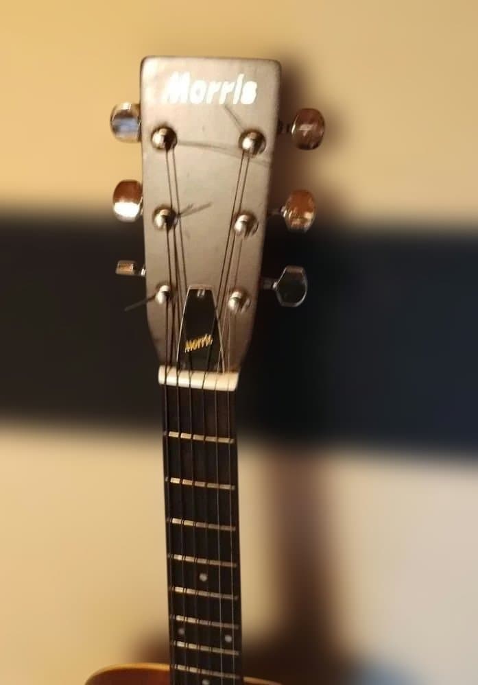 Morris アコースティックギター F-18