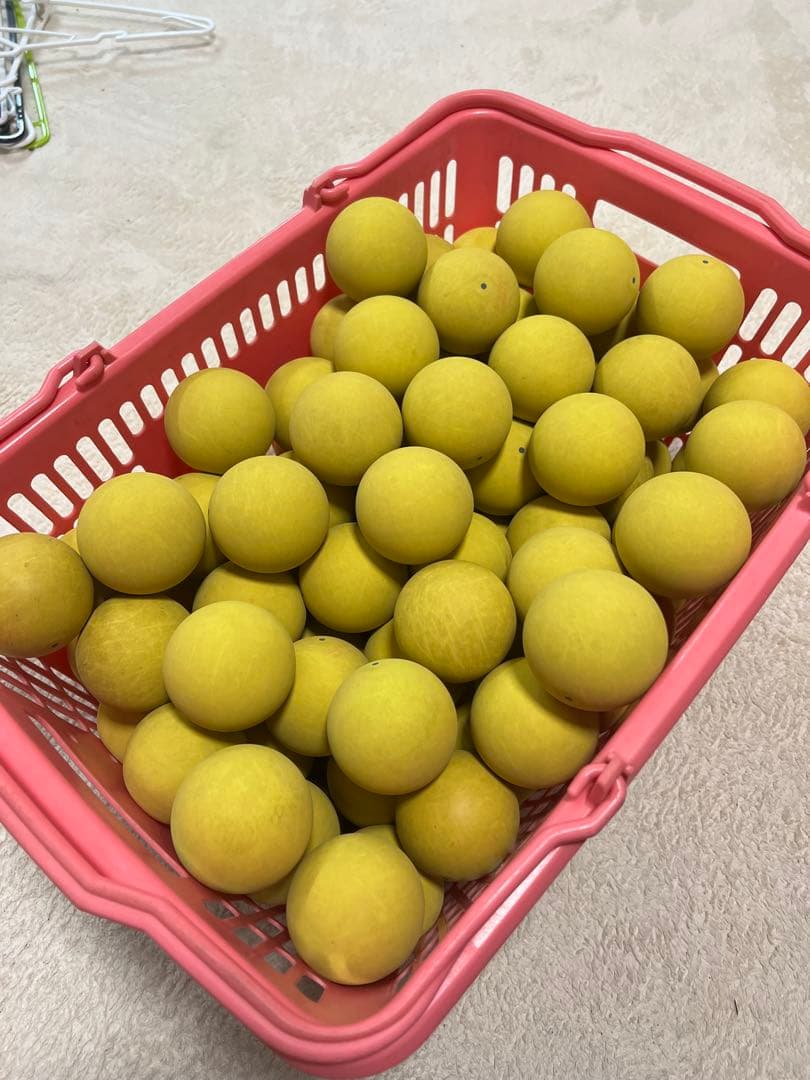 ケンコーボール公認球　120球程度