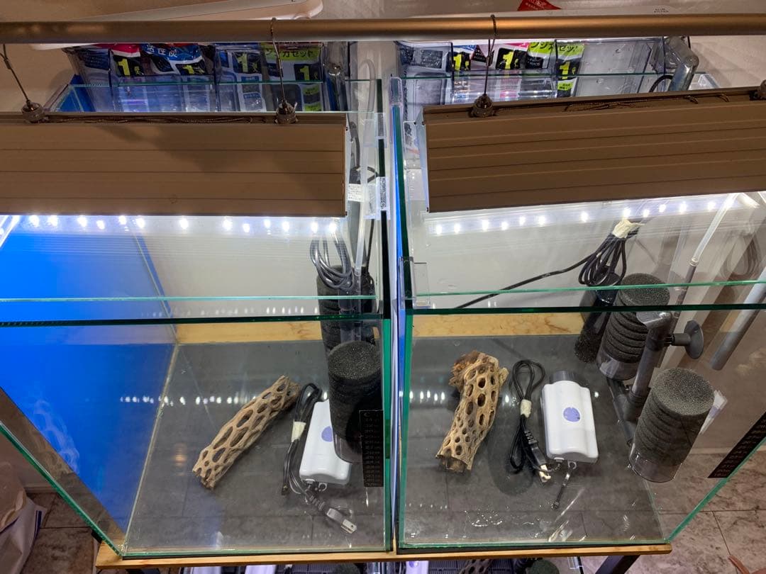 【引き取り限定】ガラス水槽フルセット　アクアリウム　最強シュリンプ水槽