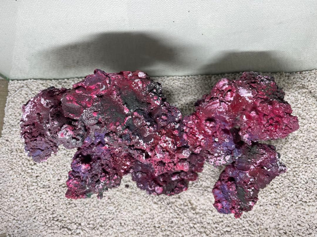 人工ライブロック RR69 アク抜き済み安心塗料使用