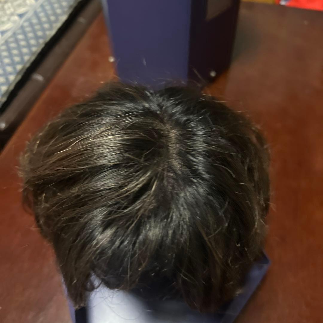 フォンテーヌ VALAN  フルウィッグ のショート ヘアー　女装　コスプレ