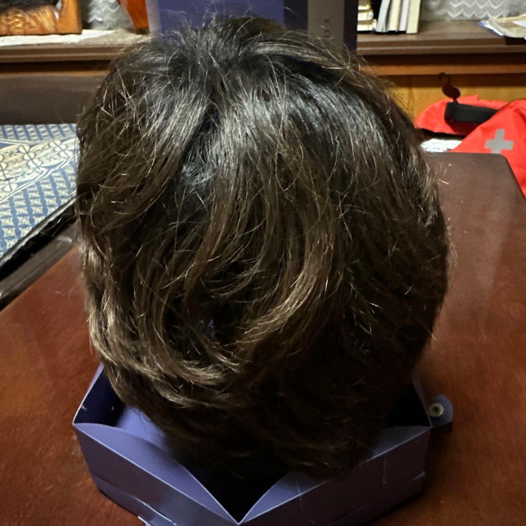 フォンテーヌ VALAN  フルウィッグ のショート ヘアー　女装　コスプレ