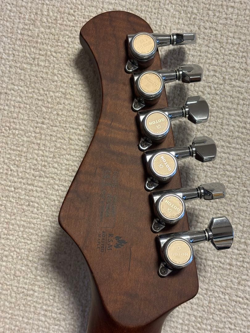 Bacchus エレキギター WINDY-BREAKER/RSM