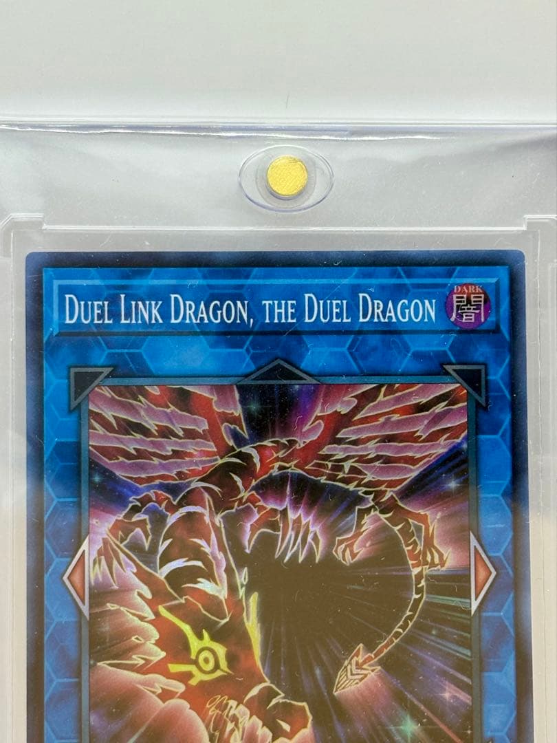 決闘竜 デュエル・リンク・ドラゴン スーパー 英語版 1枚 YCSW-EN012