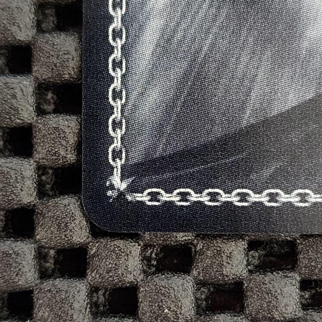 眩い柔肌 シャチ SSP サイン ヴァイスシュヴァルツロゼ harukaze