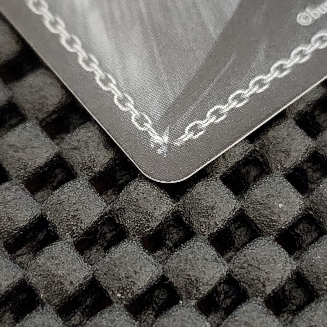 眩い柔肌 シャチ SSP サイン ヴァイスシュヴァルツロゼ harukaze