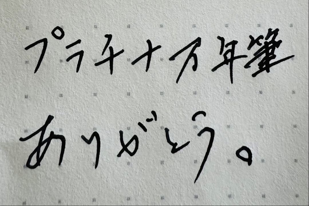 プラチナ万年筆 14K M 3776 シャルトルブルーとパイロットインク