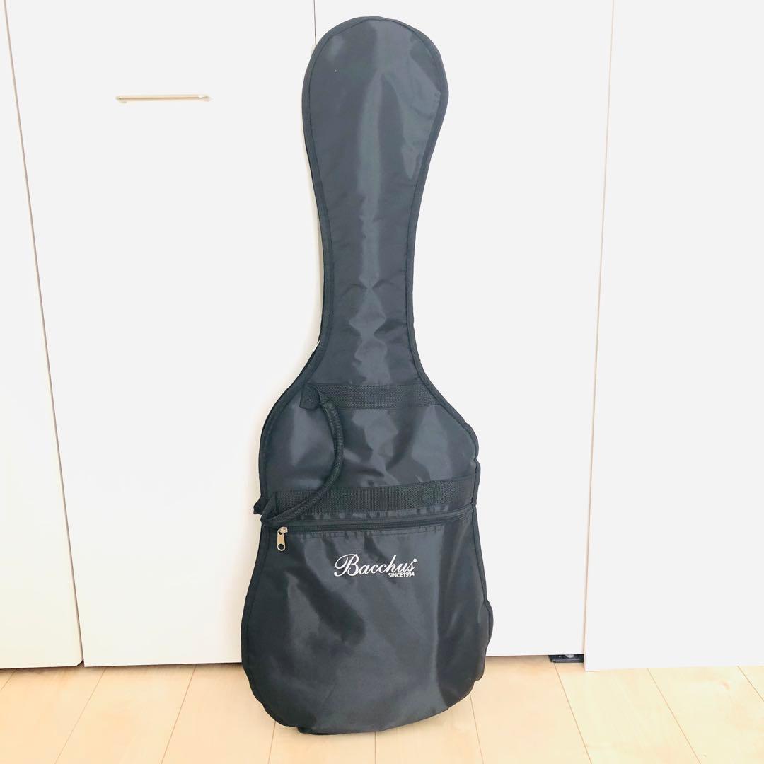 Bacchus GLOBAL SERIES グローバルシリーズ テレキャスター