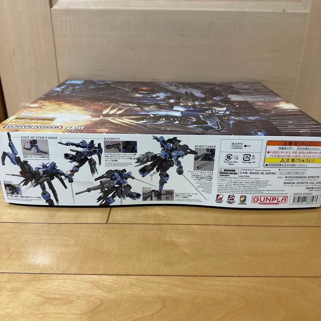 MG 1/100 ガンダムヴィダール